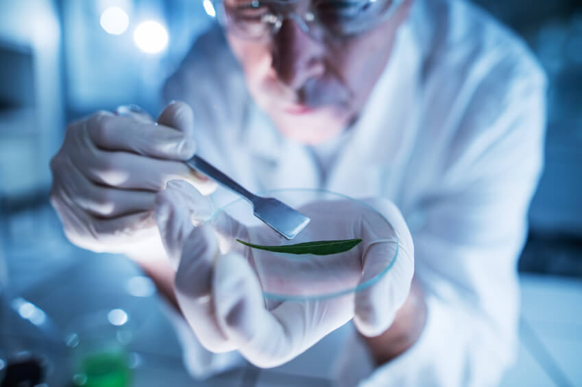 Ciencias naturales: rige la convocatoria para el Premio Fernando Lahille