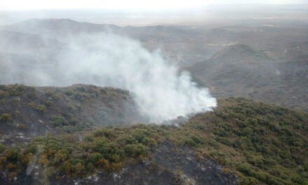 Bomberos avanzan en el control del incendio en las sierras