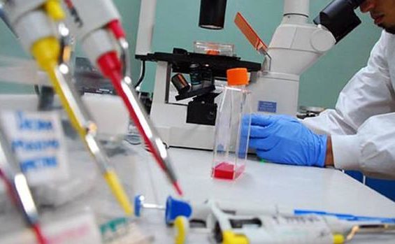 7ma Feria de Ciencias y Tecnología Instancia Zonal, de la Sede Leonardo da Vinci