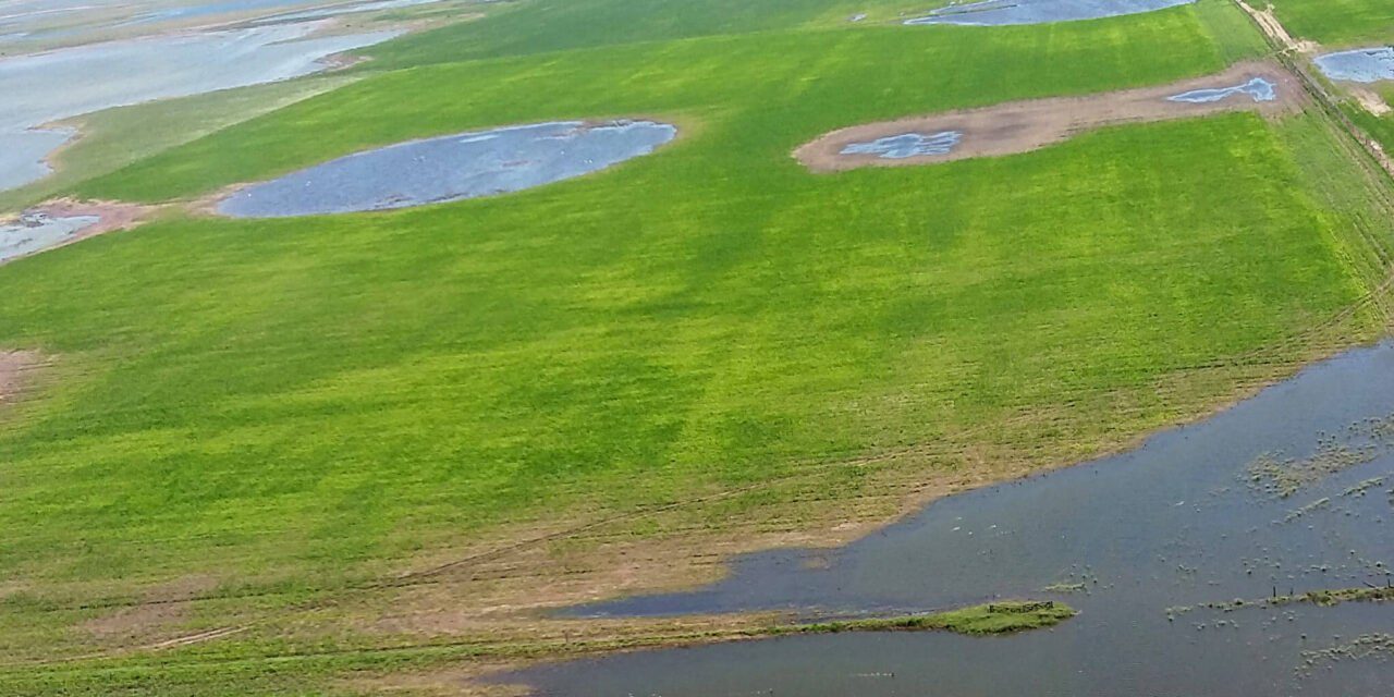 Prorrogan la Emergencia Agropecuaria hasta fin de año