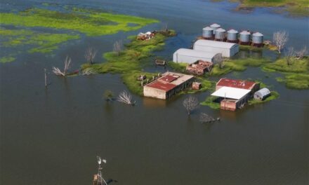 Crítica situación en Arias por el avance del agua