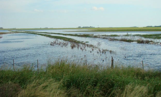Córdoba solicitó a Nación homologar decreto de Emergencia