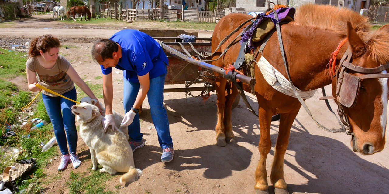Se está realizando una intervención integral en barrio Oncativo