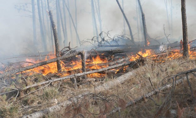 Hasta mañana es EXTREMO el riesgo de incendio en la provincia