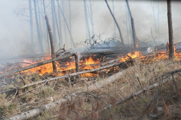 Hasta mañana es EXTREMO el riesgo de incendio en la provincia