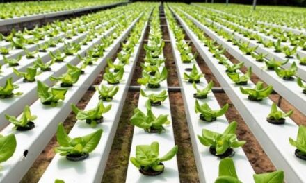 Posgrado extracurricular sobre producción agroecológica
