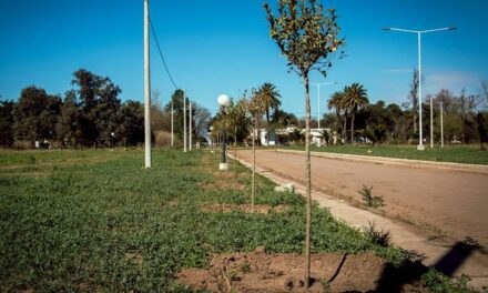 Plan de forestación en General Deheza