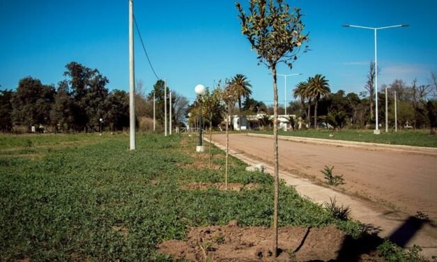 Plan de forestación en General Deheza