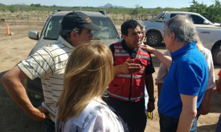 Massei recorrió la zona afectada por los incendios