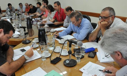 La Universidad aumentó los montos de las becas para estudiantes