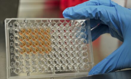 Nanociencias y nanotecnologías a través de una plataforma virtual
