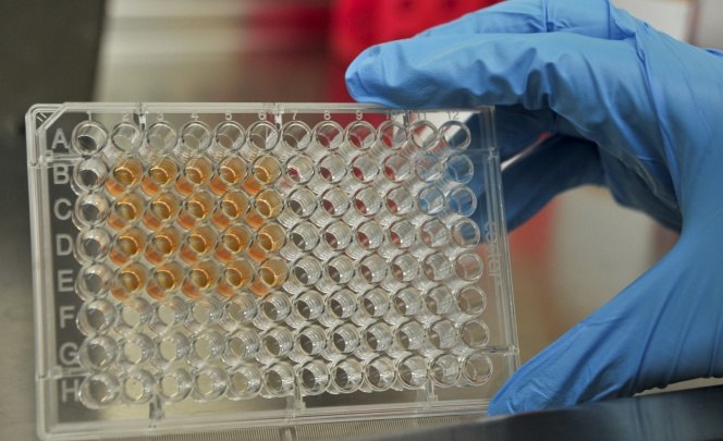 Nanociencias y nanotecnologías a través de una plataforma virtual