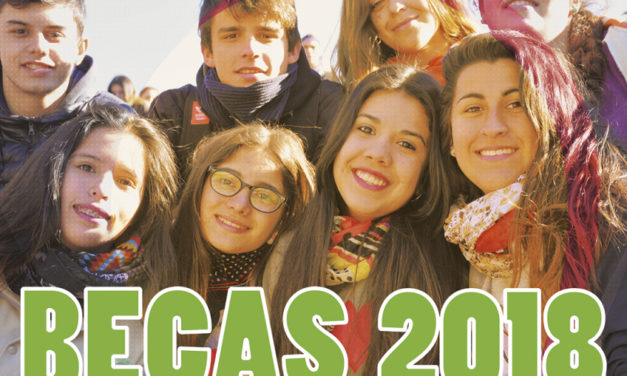 Becas Ingresantes 2018: desde hoy se pueden retirar las solicitudes