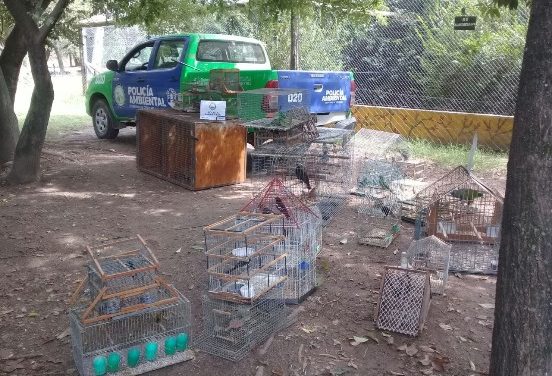 Policía Ambiental secuestró 72 aves en Río Cuarto