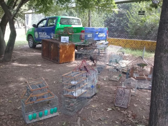 Policía Ambiental secuestró 72 aves en Río Cuarto