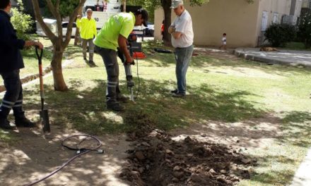 Vecinos de Trapalanda gozarán de mejor iluminación