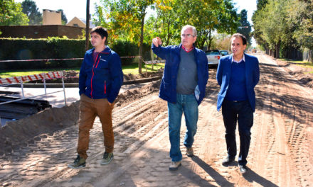 Llamosas recorrió obras de Cordón Cuneta en Villa Dalcar