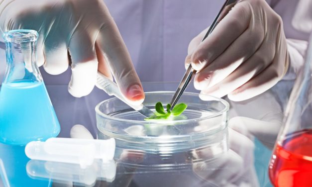 Se pondrá en marcha una escuela Proa en Biotecnología