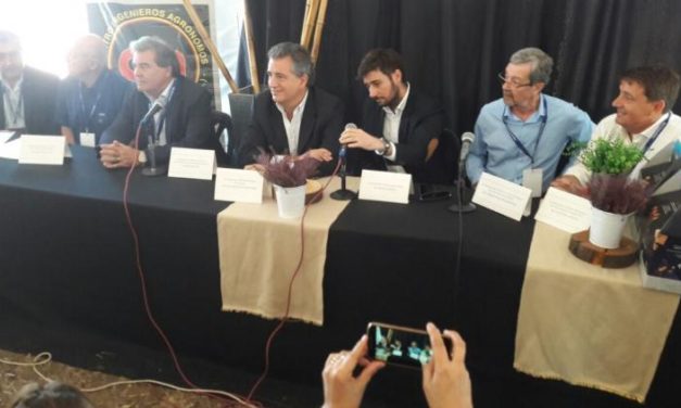 El 8° Circuito del Maní convocó a 700 personas