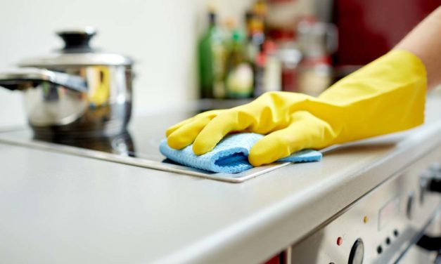 Día de la empleada doméstica