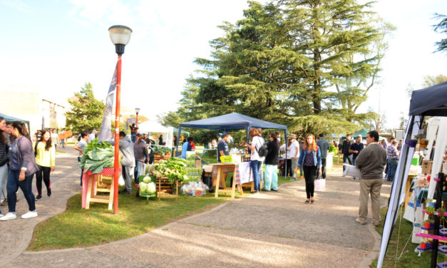 Se realizó la 9º edición de Fericambio en el campus de la UNRC