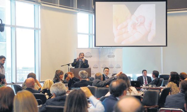 Primer plenario de comisiones en Diputados por la legalización del aborto