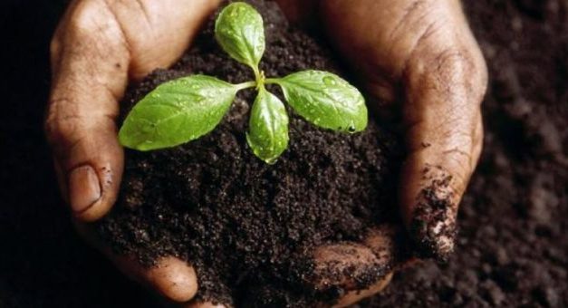 Jornada de Agroecología y Soberanía Alimentaria