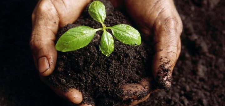 Jornada de Agroecología y Soberanía Alimentaria