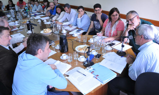 “En la Universidad, no sobra nadie”