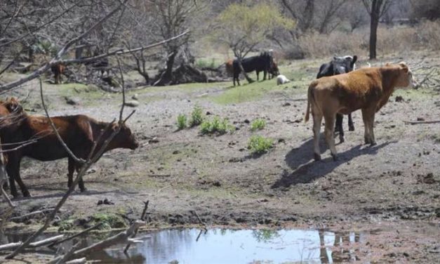 La Nación declaró la emergencia agropecuaria en Córdoba