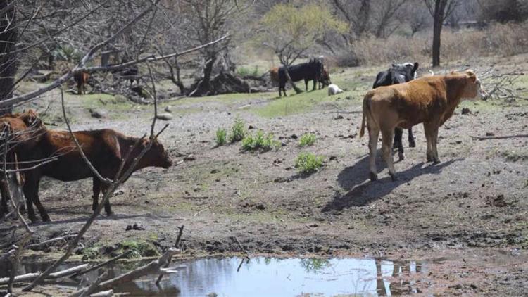 La Nación declaró la emergencia agropecuaria en Córdoba