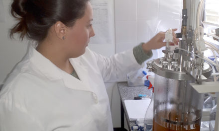 Investigadores lograron producir biocombustible con suero de queso