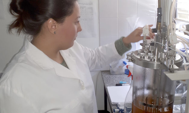 Investigadores lograron producir biocombustible con suero de queso