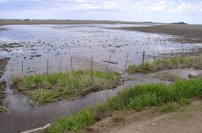 Arias: se realizó un drenaje para evacuar los excedentes hídricos