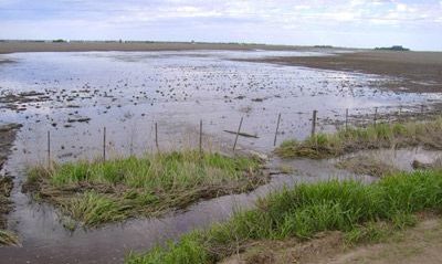 Arias: se realizó un drenaje para evacuar los excedentes hídricos