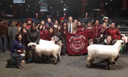El IPEA n° 291 de Cabrera premiado en la Exposición Rural de Palermo