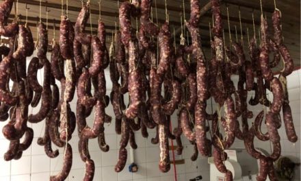 Se registró un brote de triquinosis en Canals