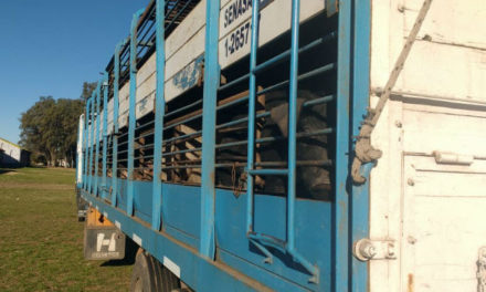 Canals: importante sanción por infracción a la Ley de Carnes