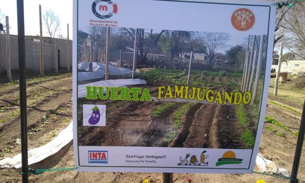 Documental sobre el trabajo de cultivo agro ecológico de La Huerta Famijugando