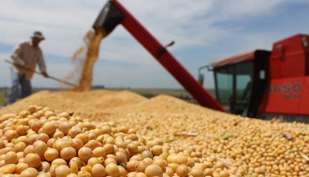 Intendentes de UpC del sur repudian la eliminación del Fondo Sojero