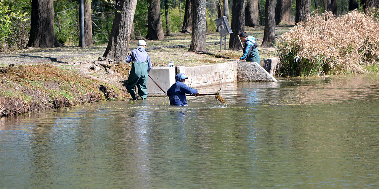 Continúan las tareas de remediación en el lago de Villa Dálcar