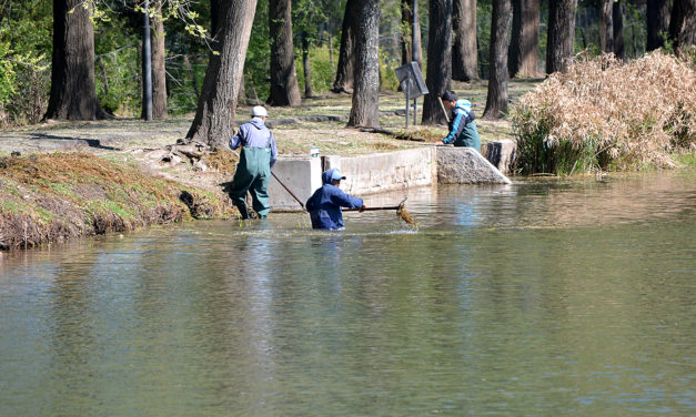 Continúan las tareas de remediación en el lago de Villa Dálcar
