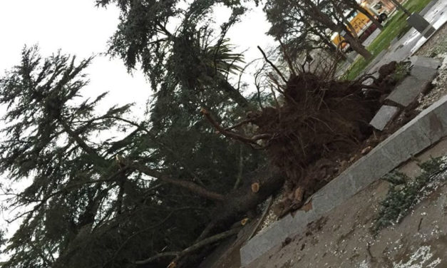 Asisten a vecinos de Sampacho afectados por temporal