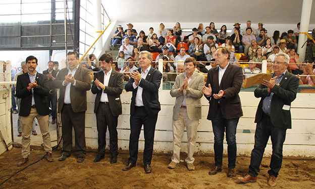 Ganadería: entregaron 65 créditos para compra de reproductores