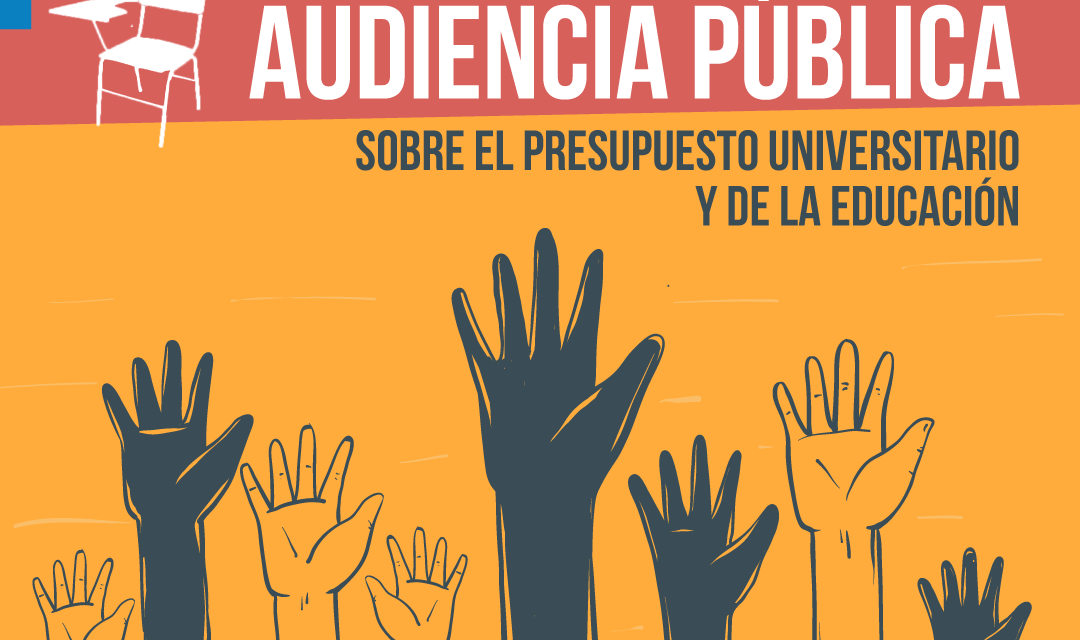 Audiencia Pública sobre el Presupuesto Universitario y Educación
