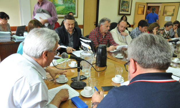 El Consejo Superior trató varias propuestas de convenios y protocolos de trabajo