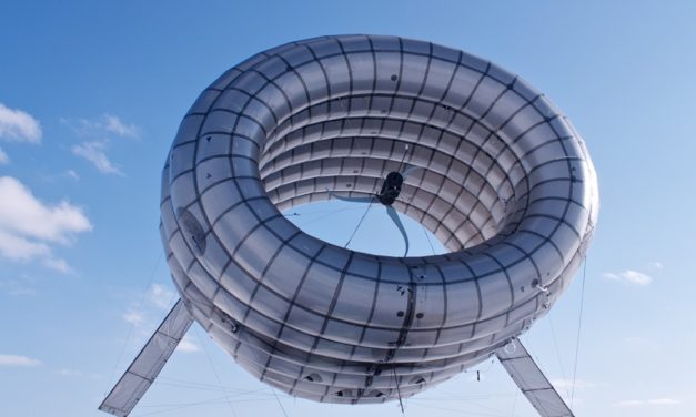 UNRC: Imitan a insectos y aves para crear un robot volador