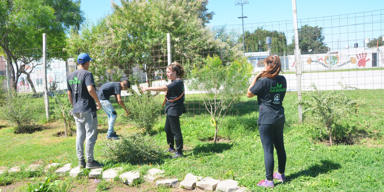 Más de 27 beneficiarios en el Vivero La Minga