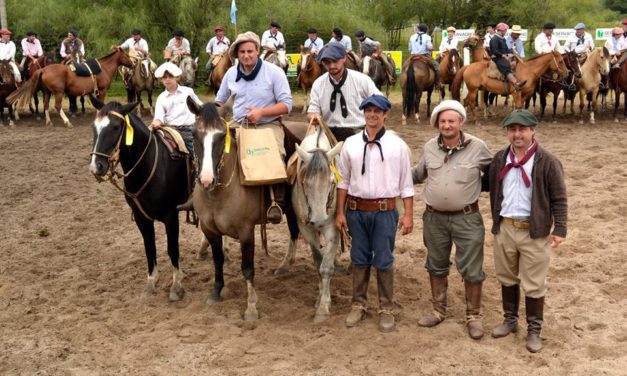 Se realizó una gran exposición de caballos criollos en La Carlota