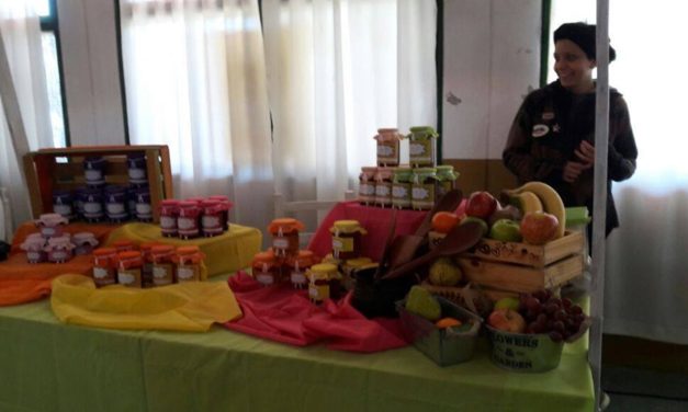 Se realizará la 2° Expo Dulzura en Alpa Corral